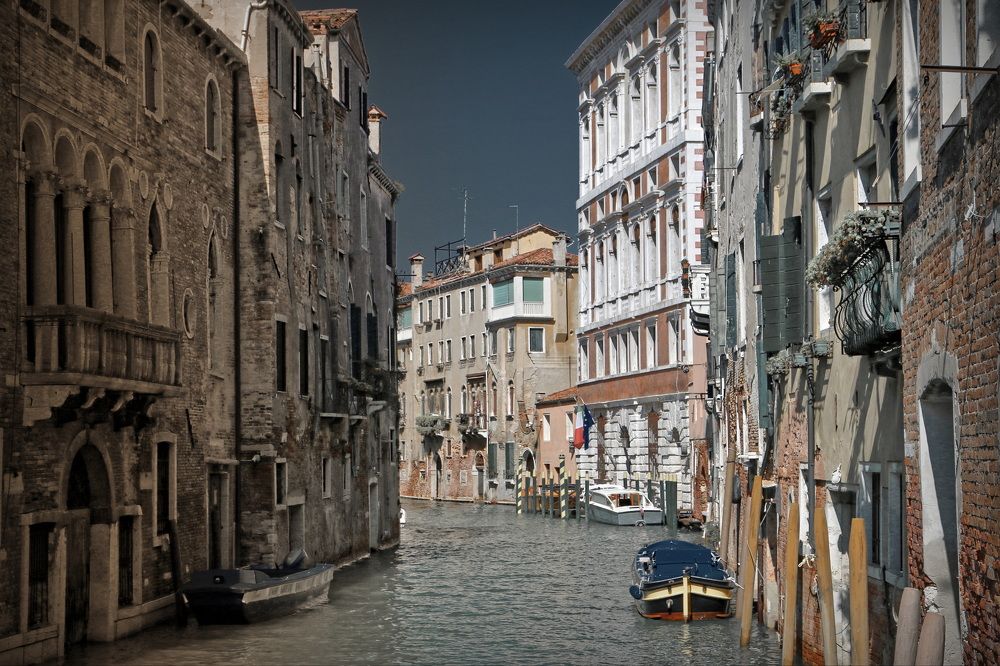 Фотография автора Анатолий Дауров