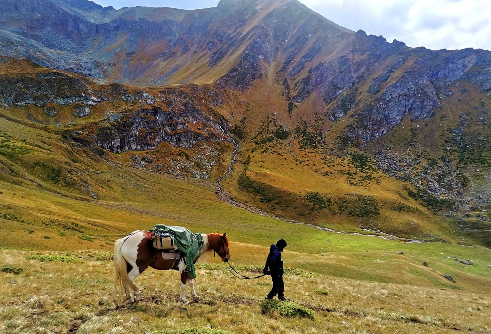 Photograph by Юлия Зубкова