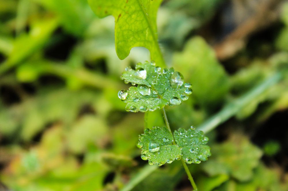 Photograph by Елизавета Цемко