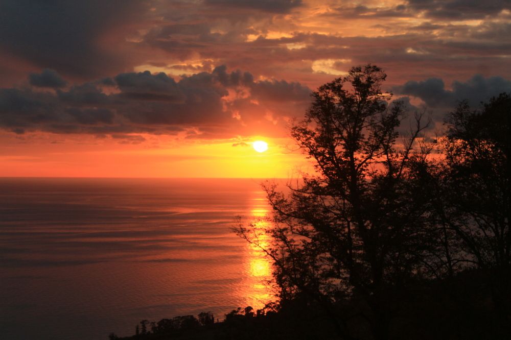 Photograph by Елизавета Цемко