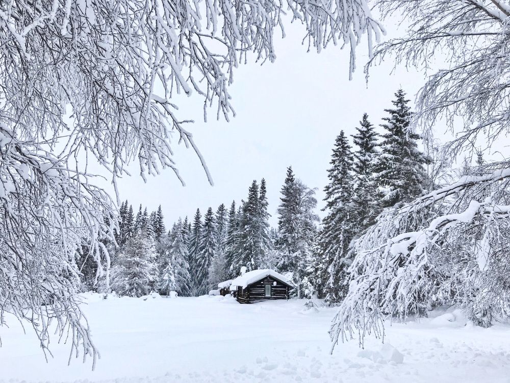 Photograph by Janina Segeda