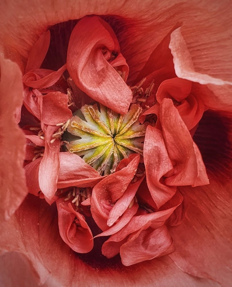 Photograph by Марина Регенспергер