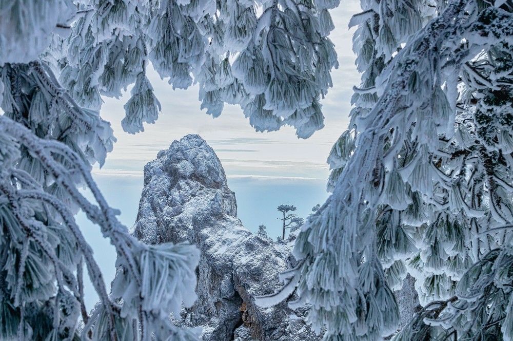 Photograph by Андрей Евтеев