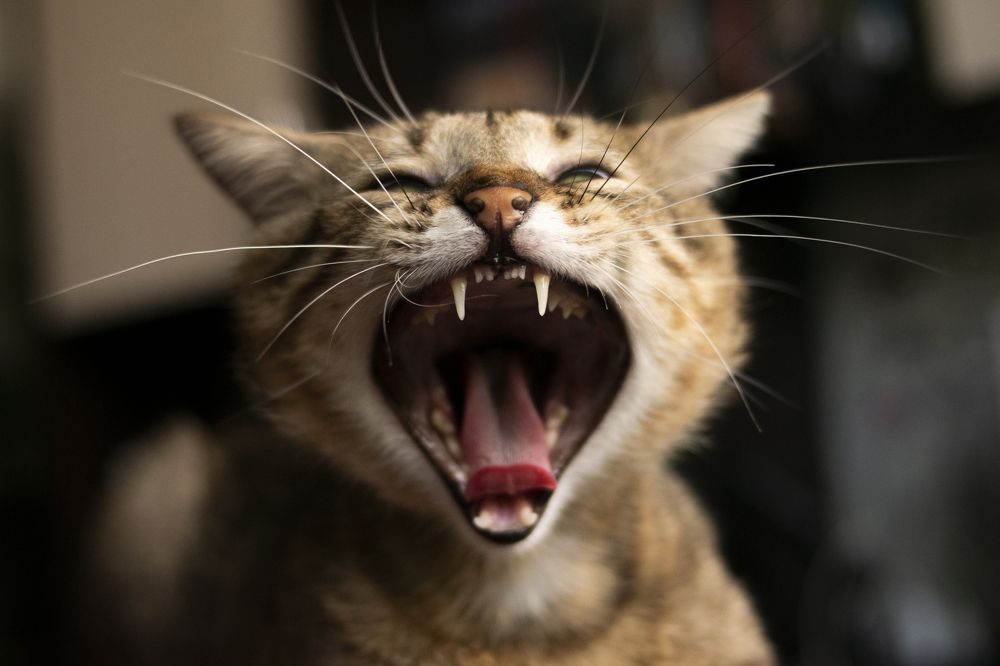 Photograph by Ульяна Салихова