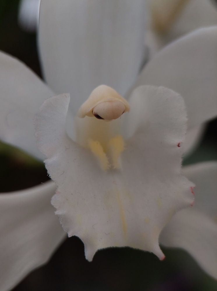 Photograph by Данила Черезов