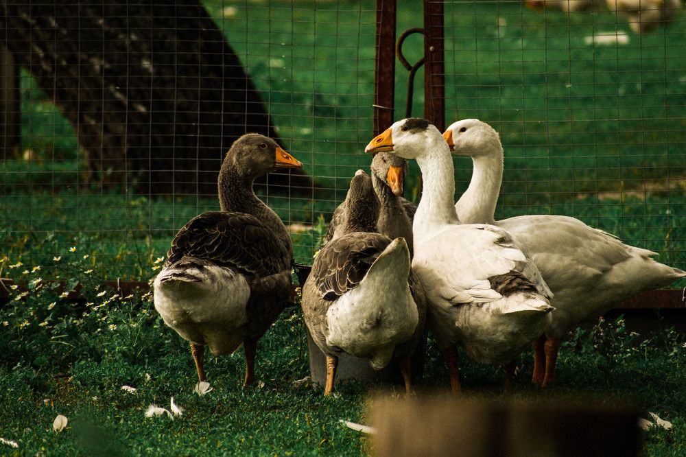 Photograph by Ульяна Салихова