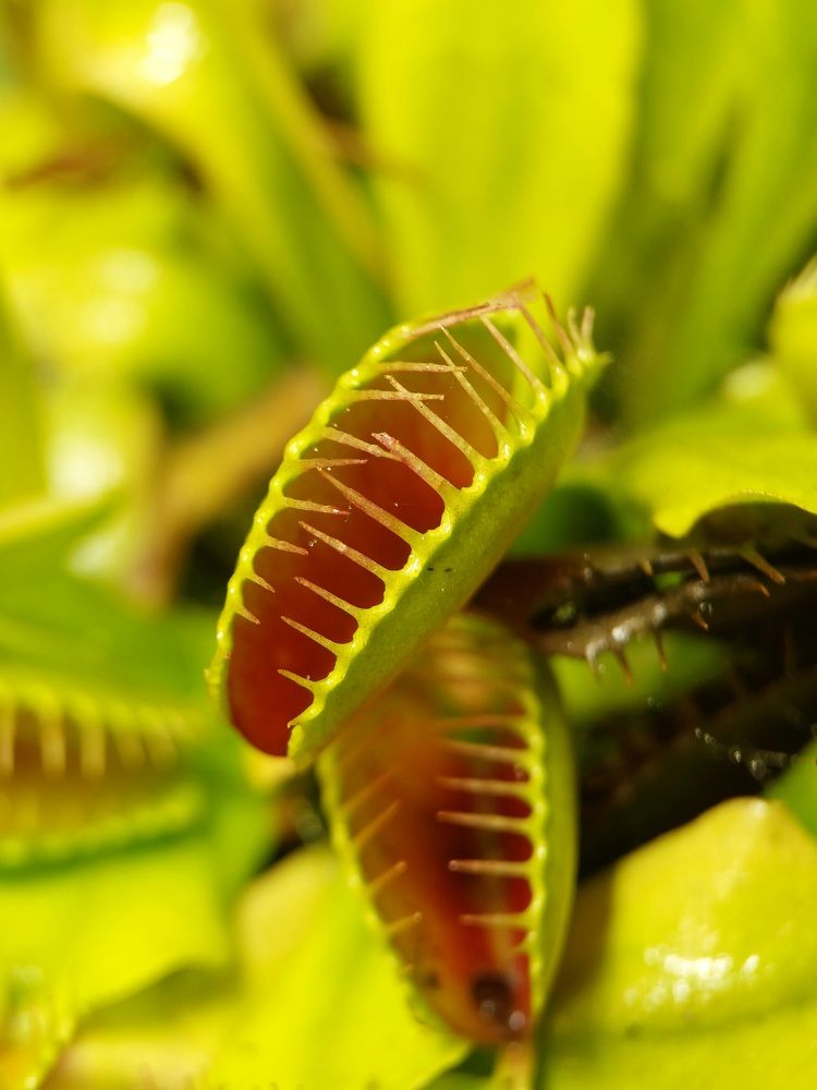 Photograph by Данила Черезов