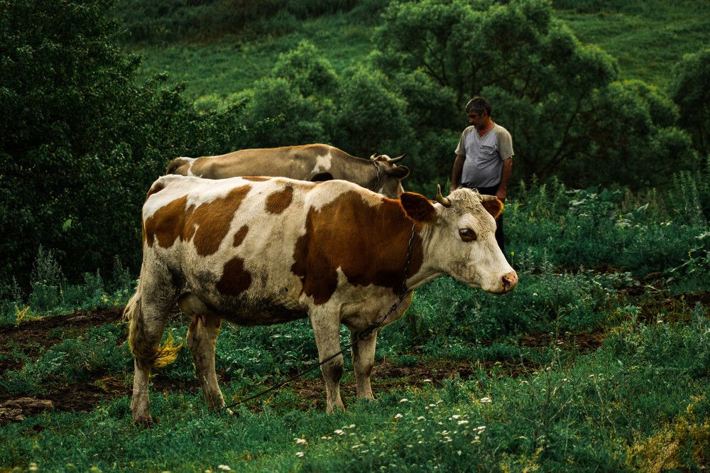 Photograph by Ульяна Салихова