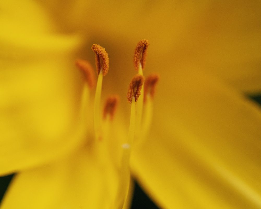 Photograph by Anna Sindikayeva