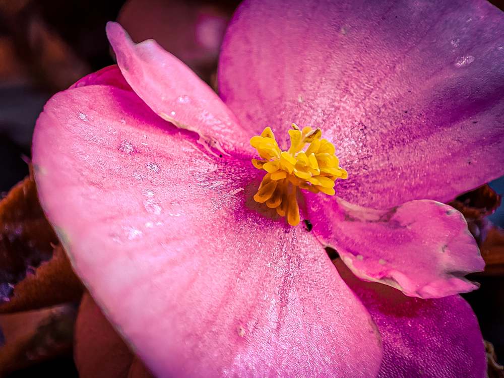 Photograph by Николай Яковлев