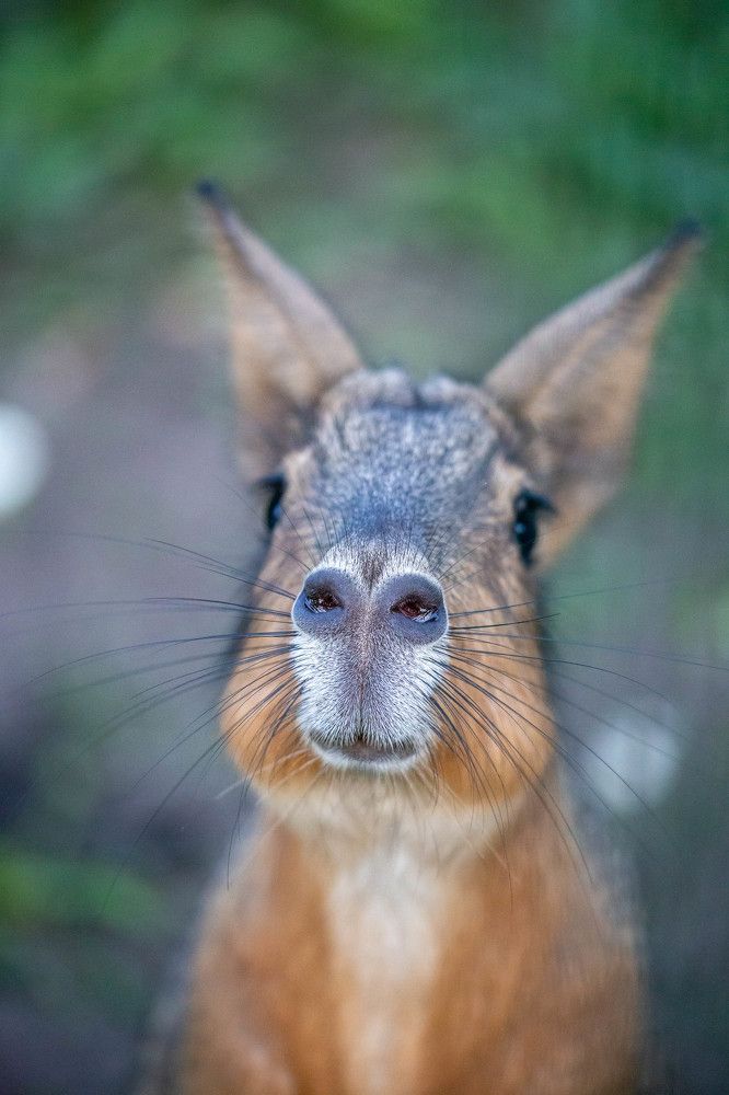 Photograph by Евгения Бочарова