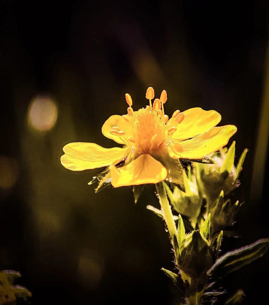 Photograph by Николай Яковлев