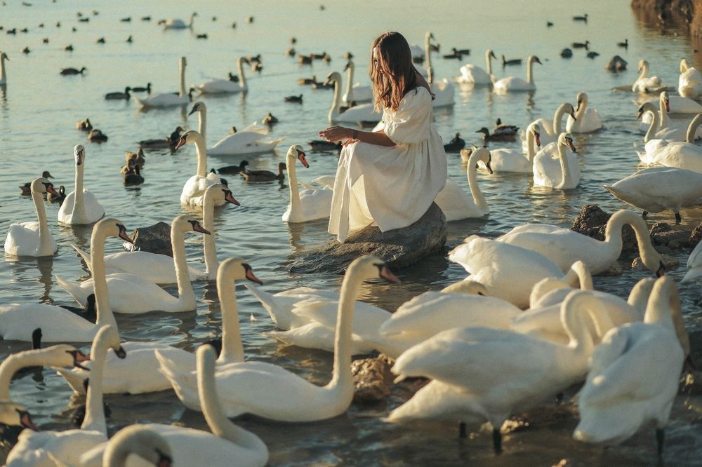 Photograph by Ирина Тищенко