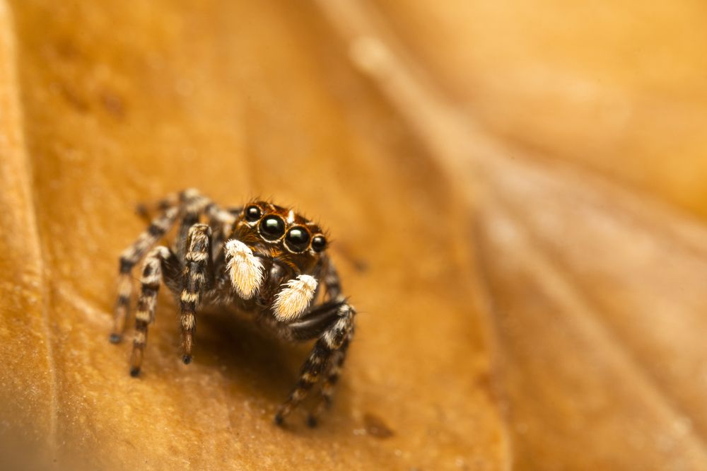 Фотография автора Jorge Luis Gil Rodríguez