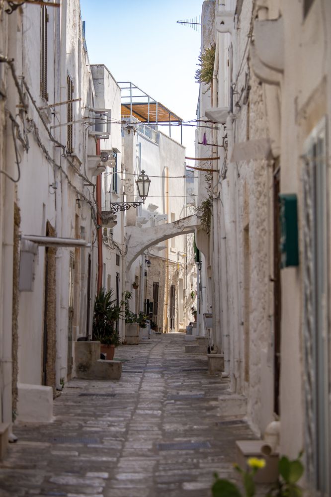 Photograph by Евгения Бочарова