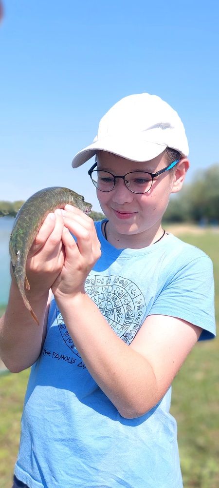 По щучьему велению