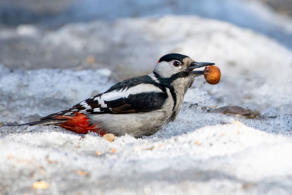 Photograph by Александр Перегудов