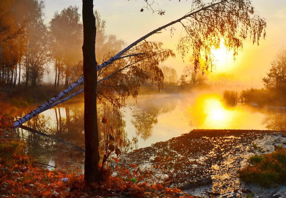 Фотография автора ВЛАДИМИР Тертышник