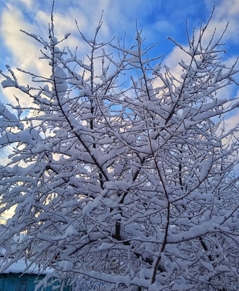 Photograph by Анна Напримерова