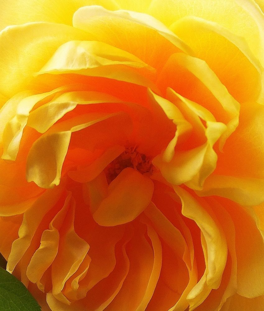 Photograph by Татьяна Кунц