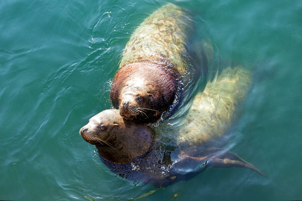 Photograph by Николай Зорин