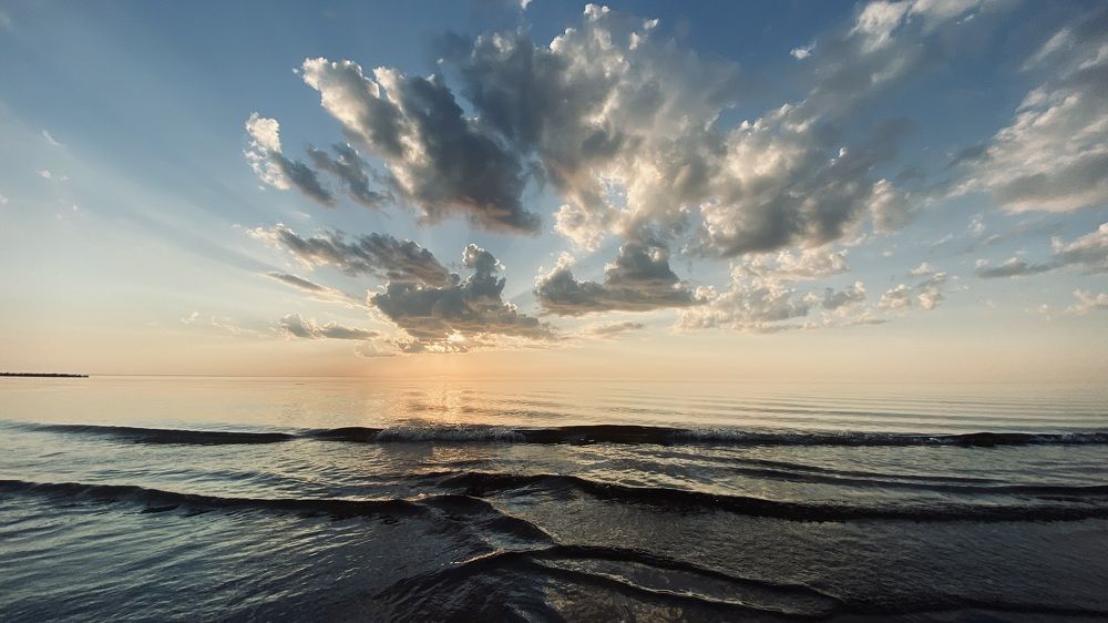 Photograph by Алина Шорина