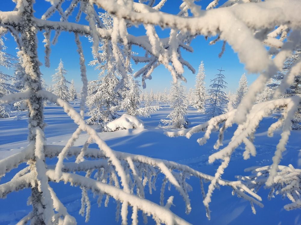 Photograph by Галина Искандарова