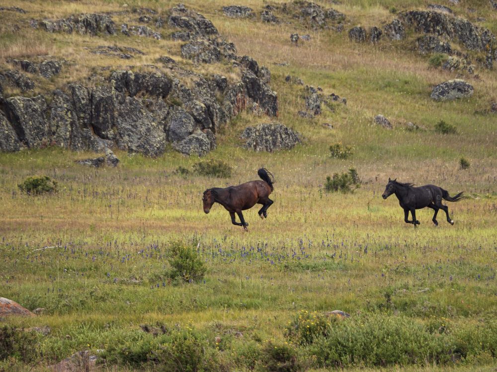 Photograph by Надежда Михайлина
