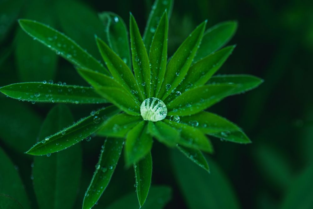 Photograph by Антон Бойков