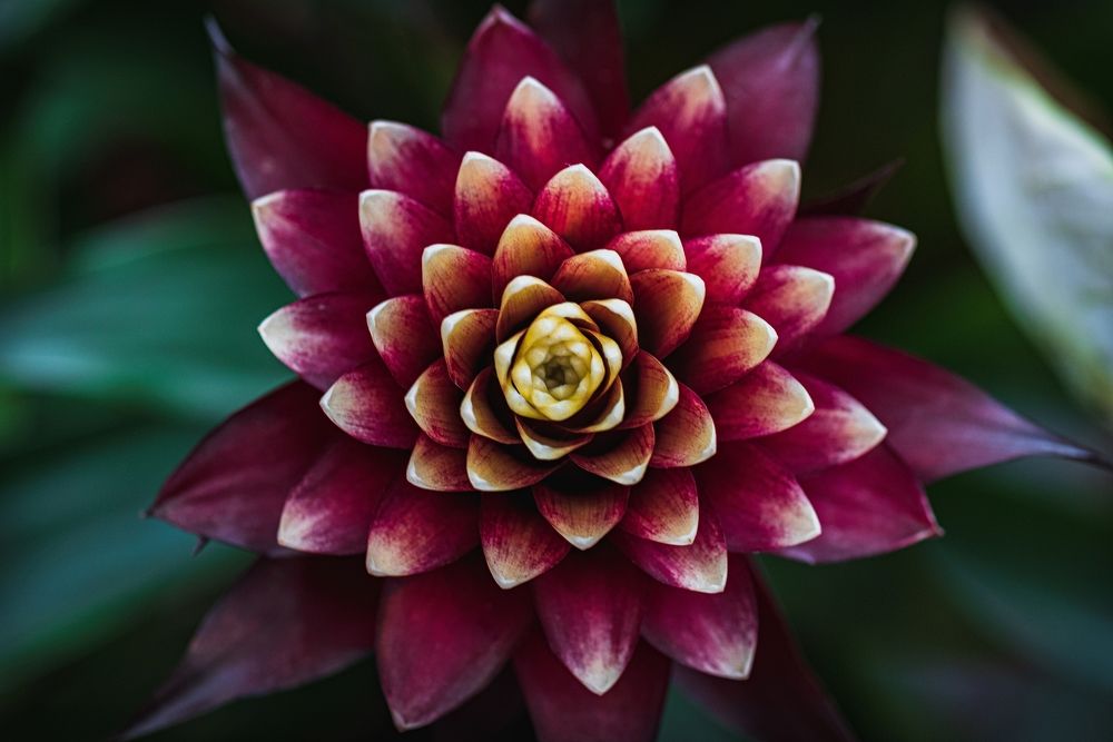 Photograph by Антон Бойков