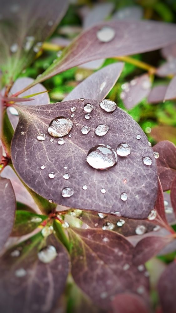 Photograph by Оксана Новикова