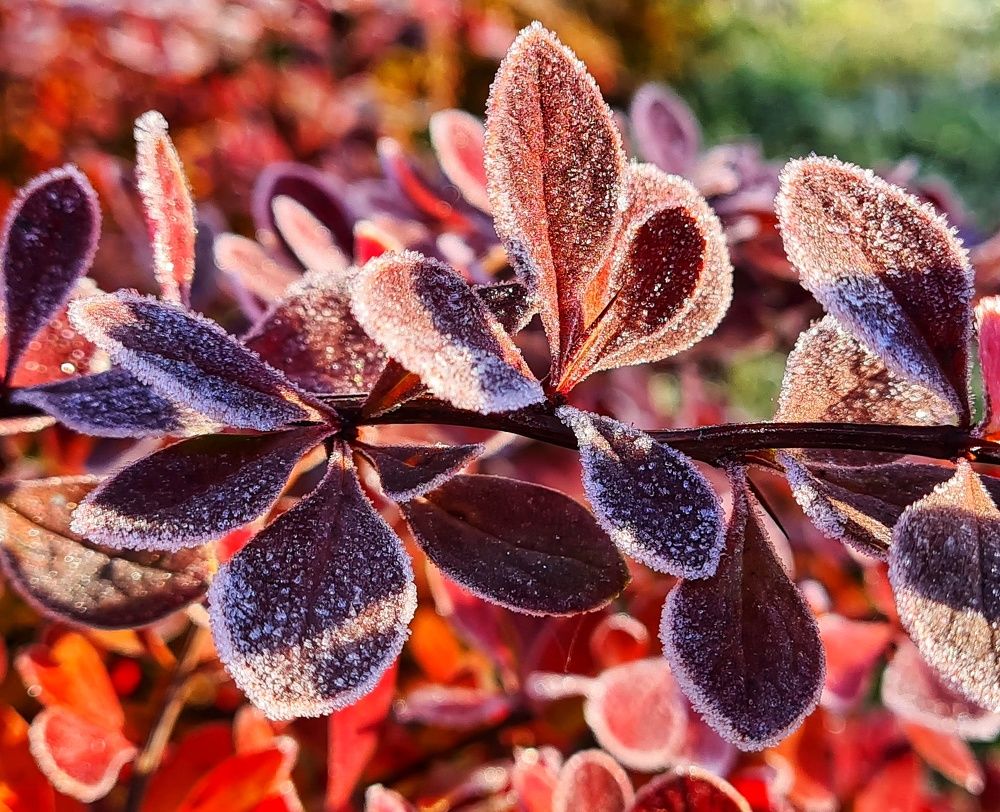 Photograph by Оксана Новикова