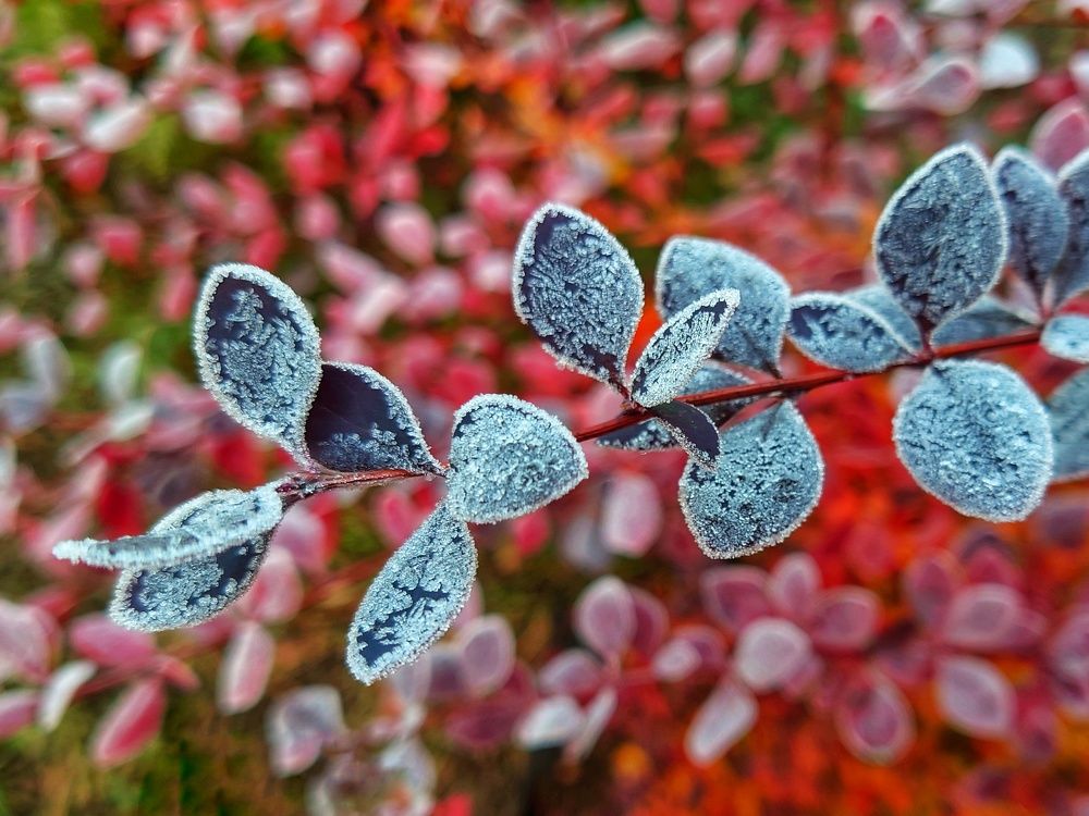 Photograph by Алексей Новиков