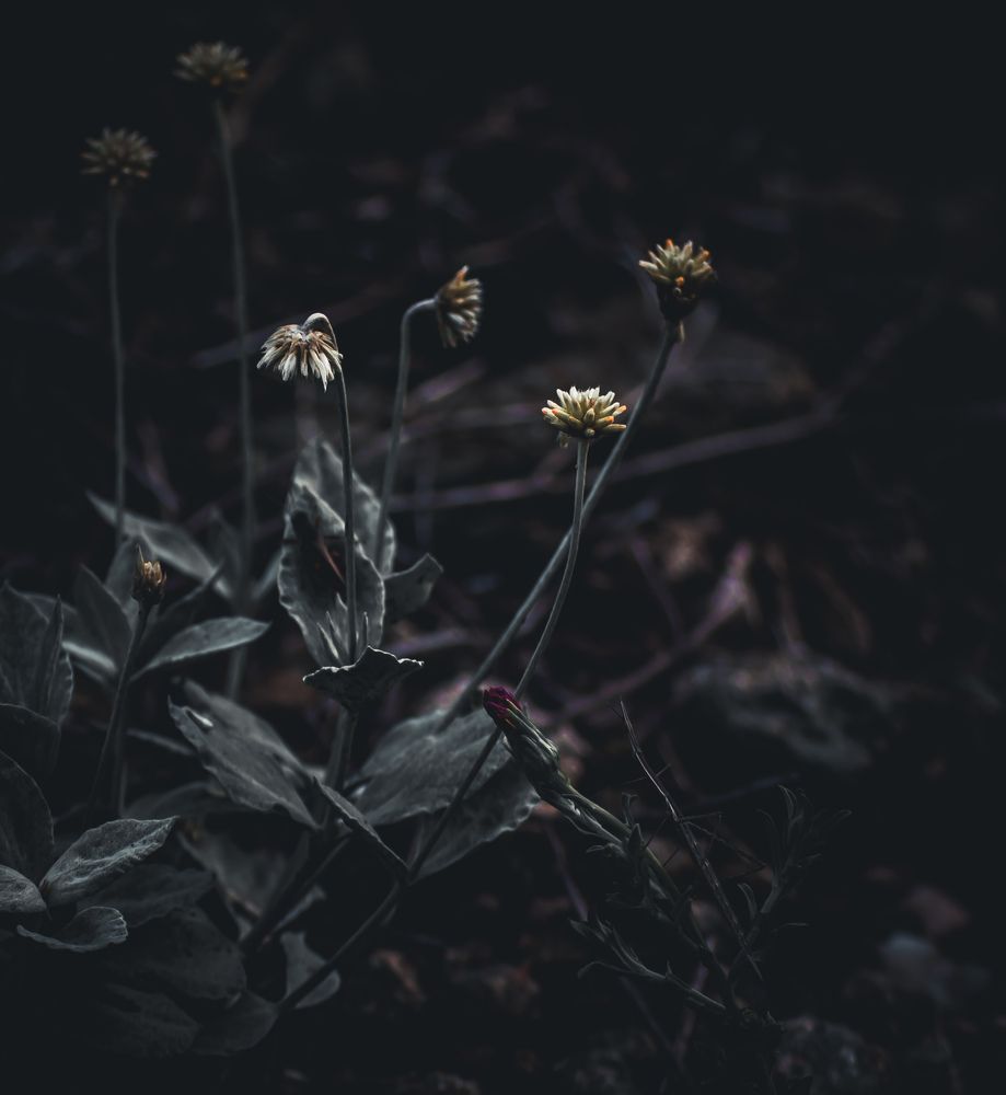 Photograph by Silvina Sánchez