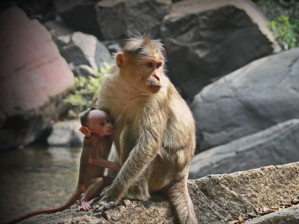 Фотография автора Анатолий Дауров