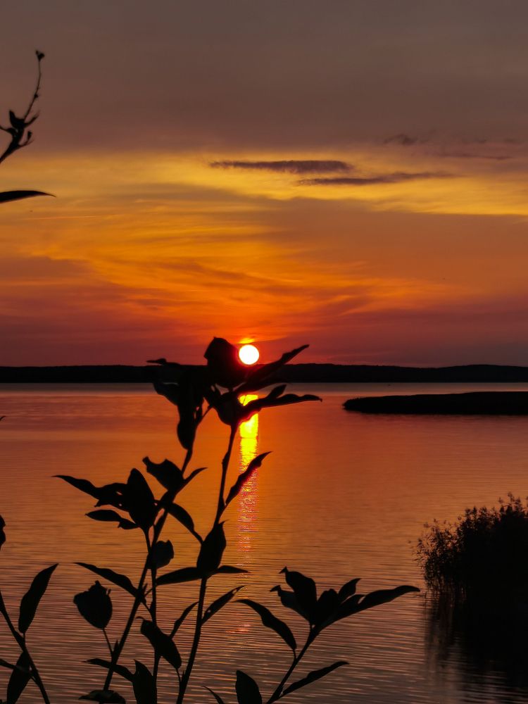 Photograph by Серафима Силина