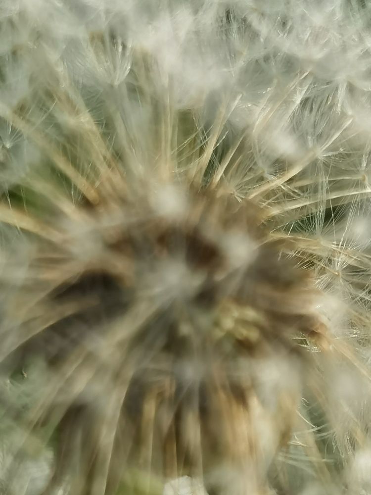 Photograph by Серафима Силина