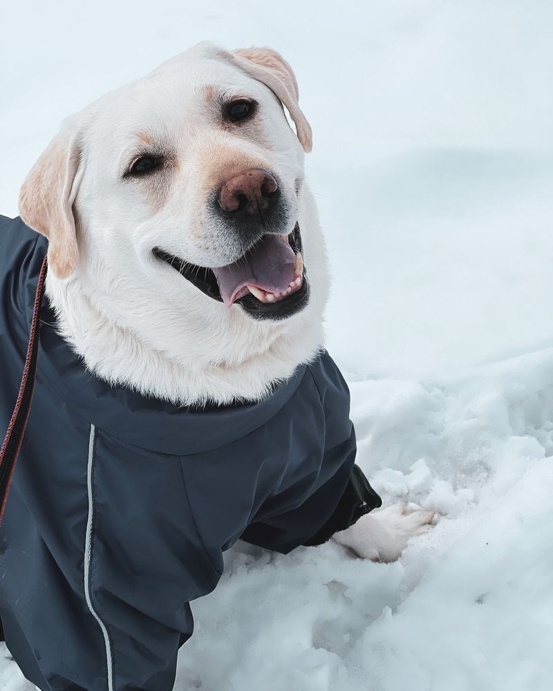 Photograph by Татьяна Волохова