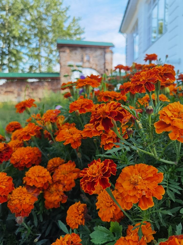 Photograph by Серафима Силина