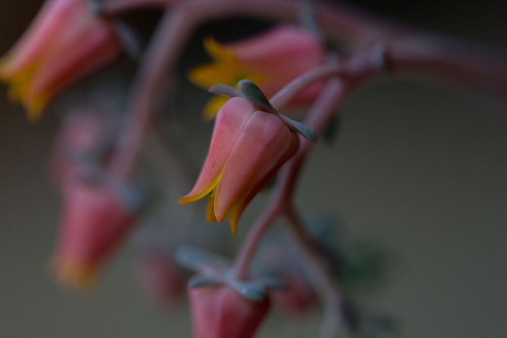 Photograph by Natalya Snegovaya