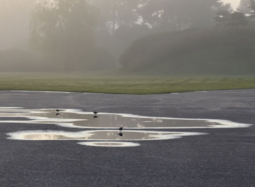 Утро. Кампус.