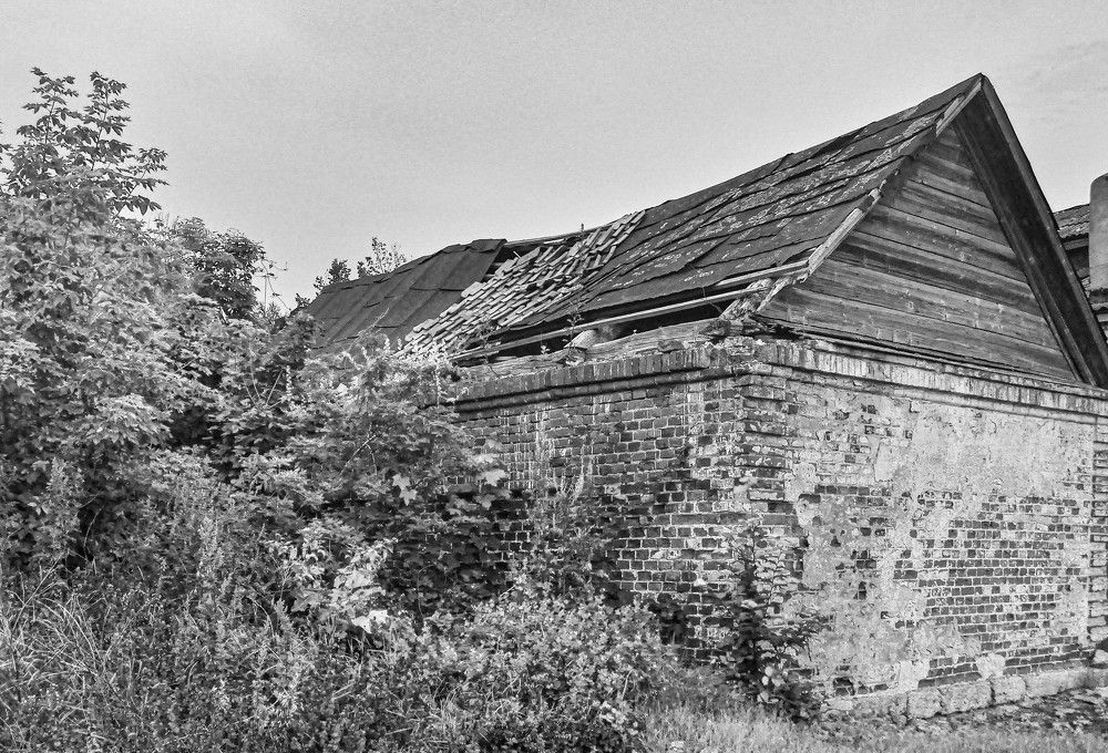 Photograph by Алекскандр Фатеев