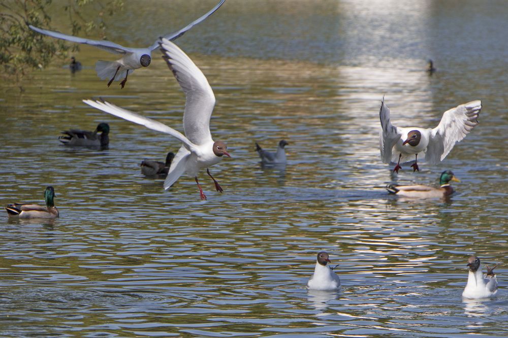 Photograph by Анастасия Северюхина