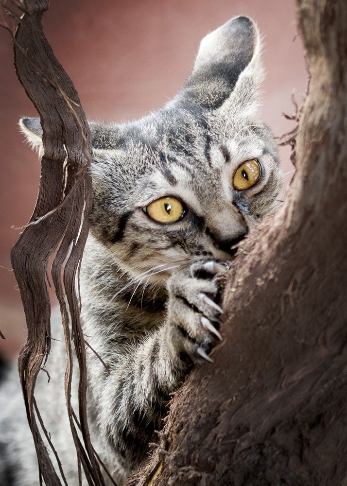 Photograph by Anas Shalash