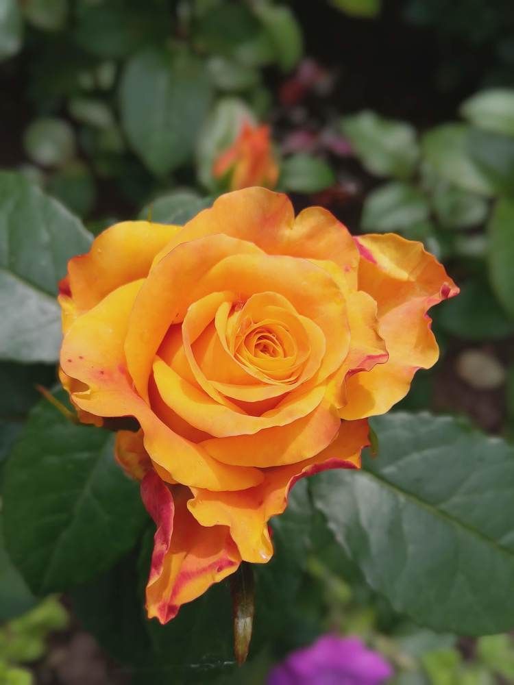 Photograph by Татьяна Пальчикова