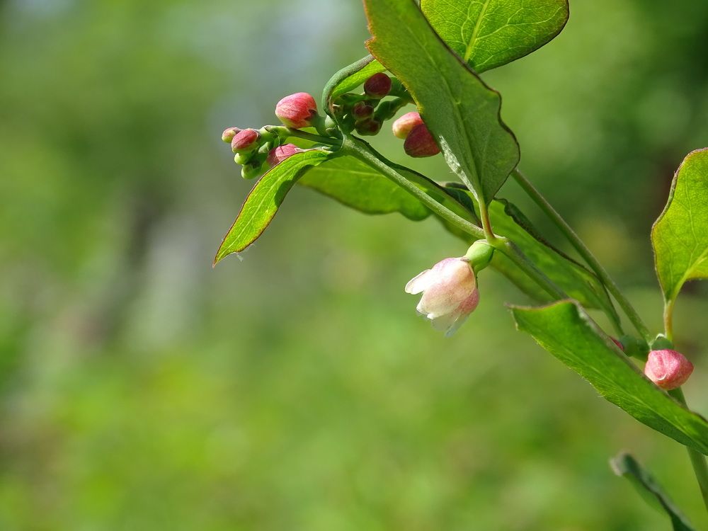 Photograph by Марина Мишина