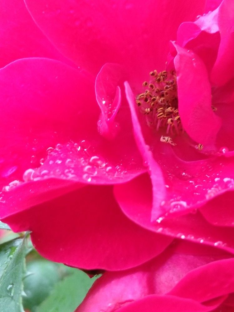 Photograph by Марина Мишина