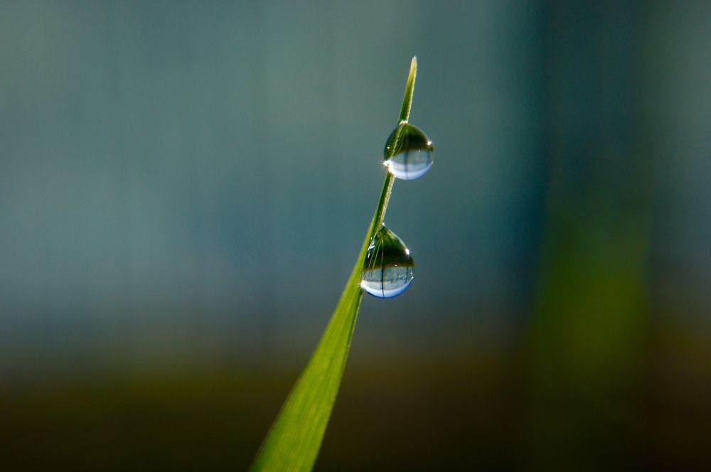 Photograph by Yana Egorova