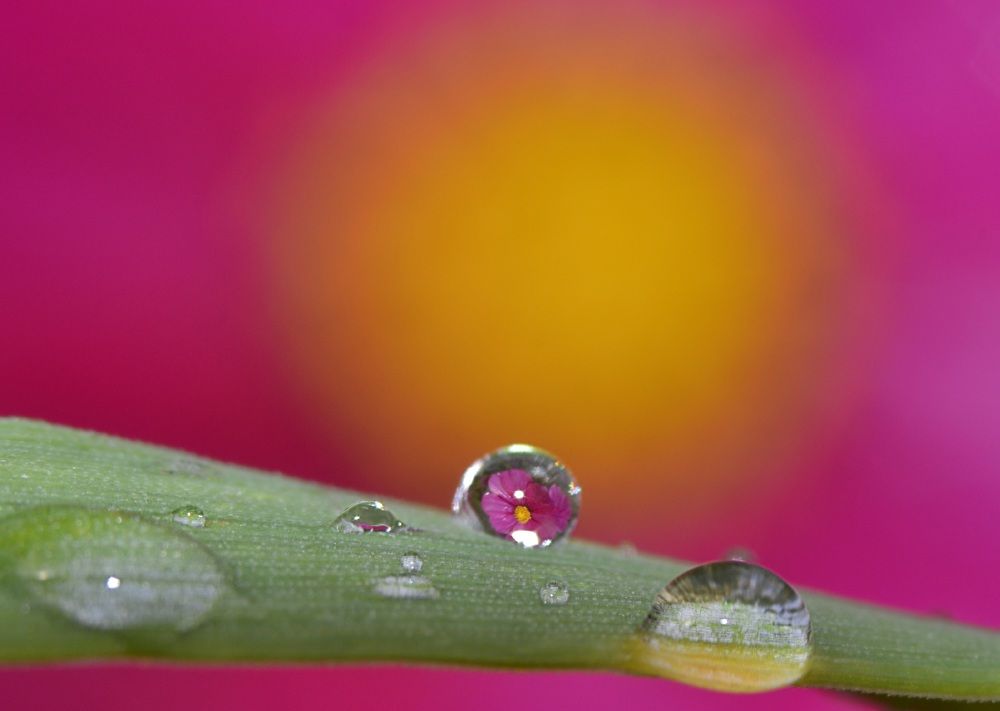 Photograph by Ольга Гоглова