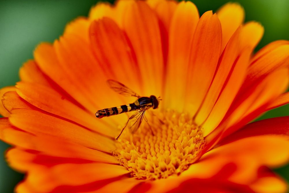 Photograph by Устинов Андрей